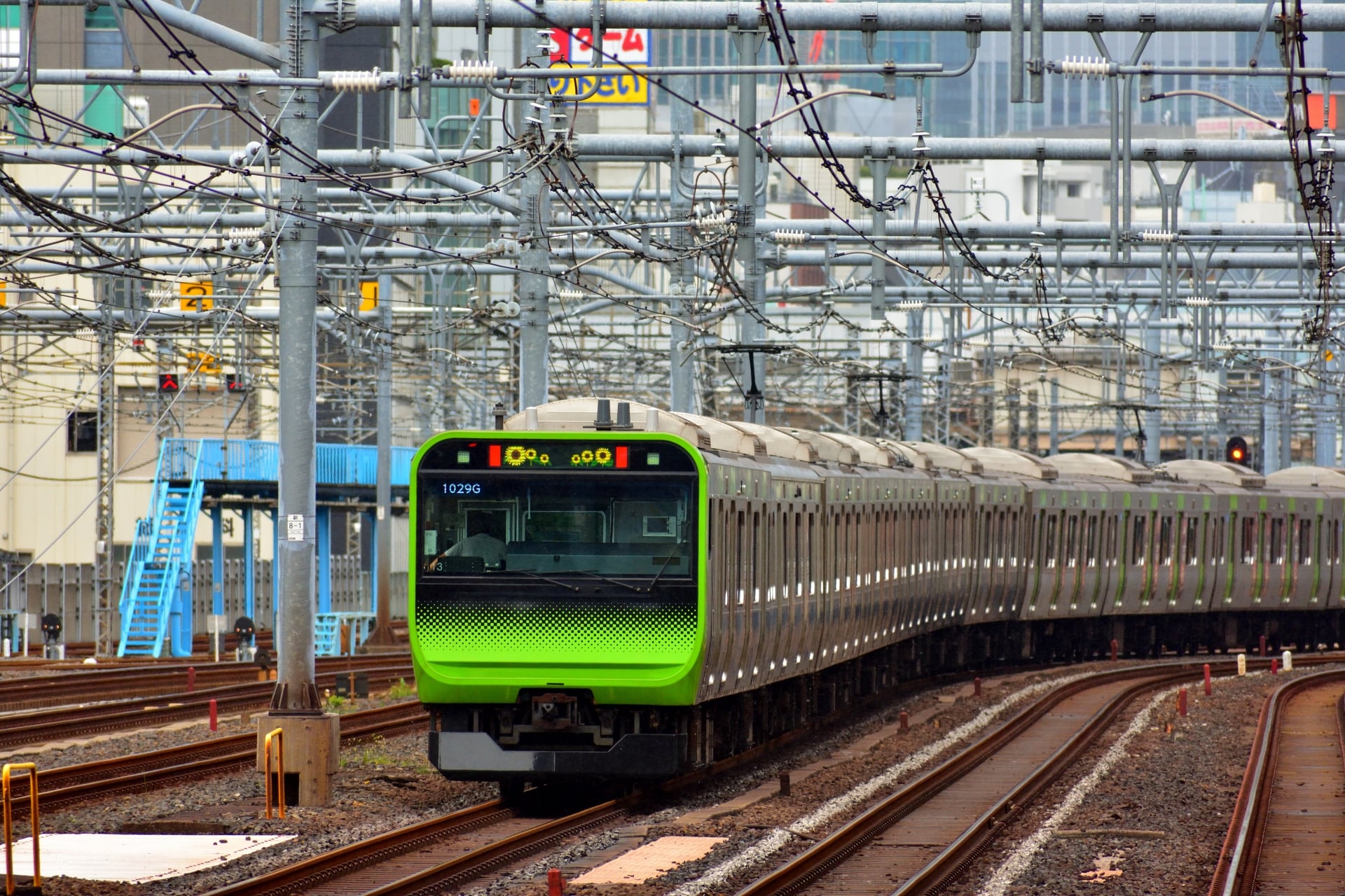 Public transportation stops in Tokyo during Typhoon Hagibis