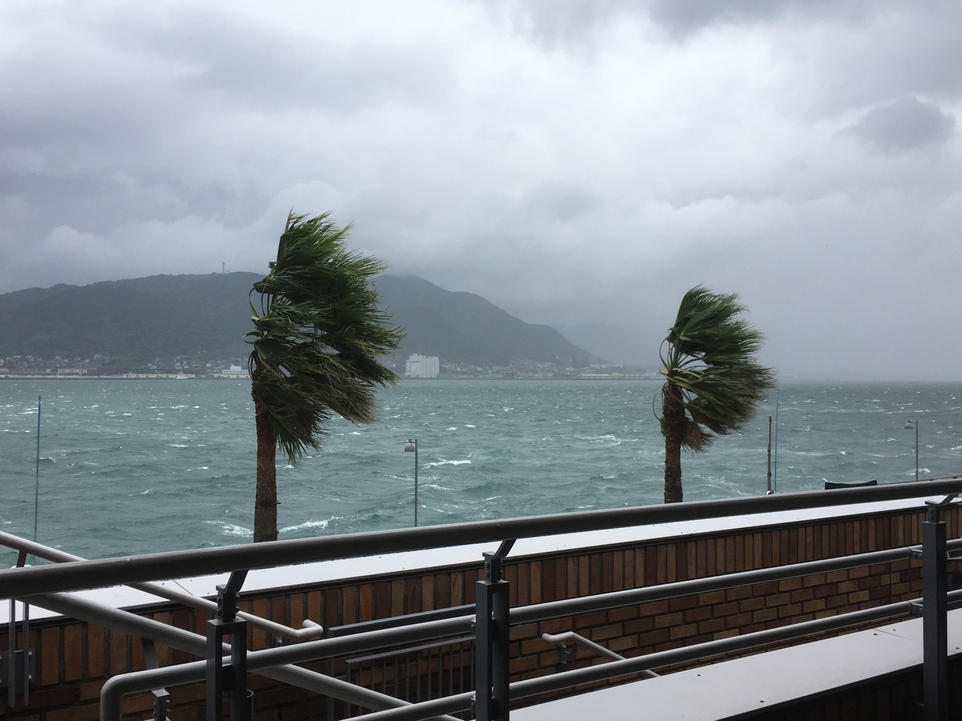 Typhoon hagibis hits Japan and Tokyo with strong wind