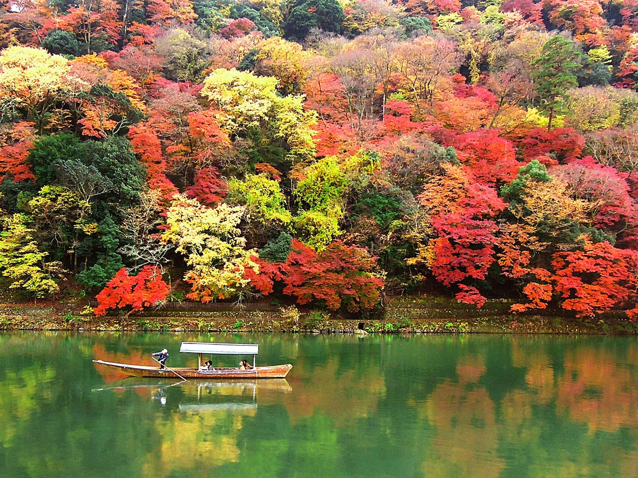 Programs for families in Kyoto